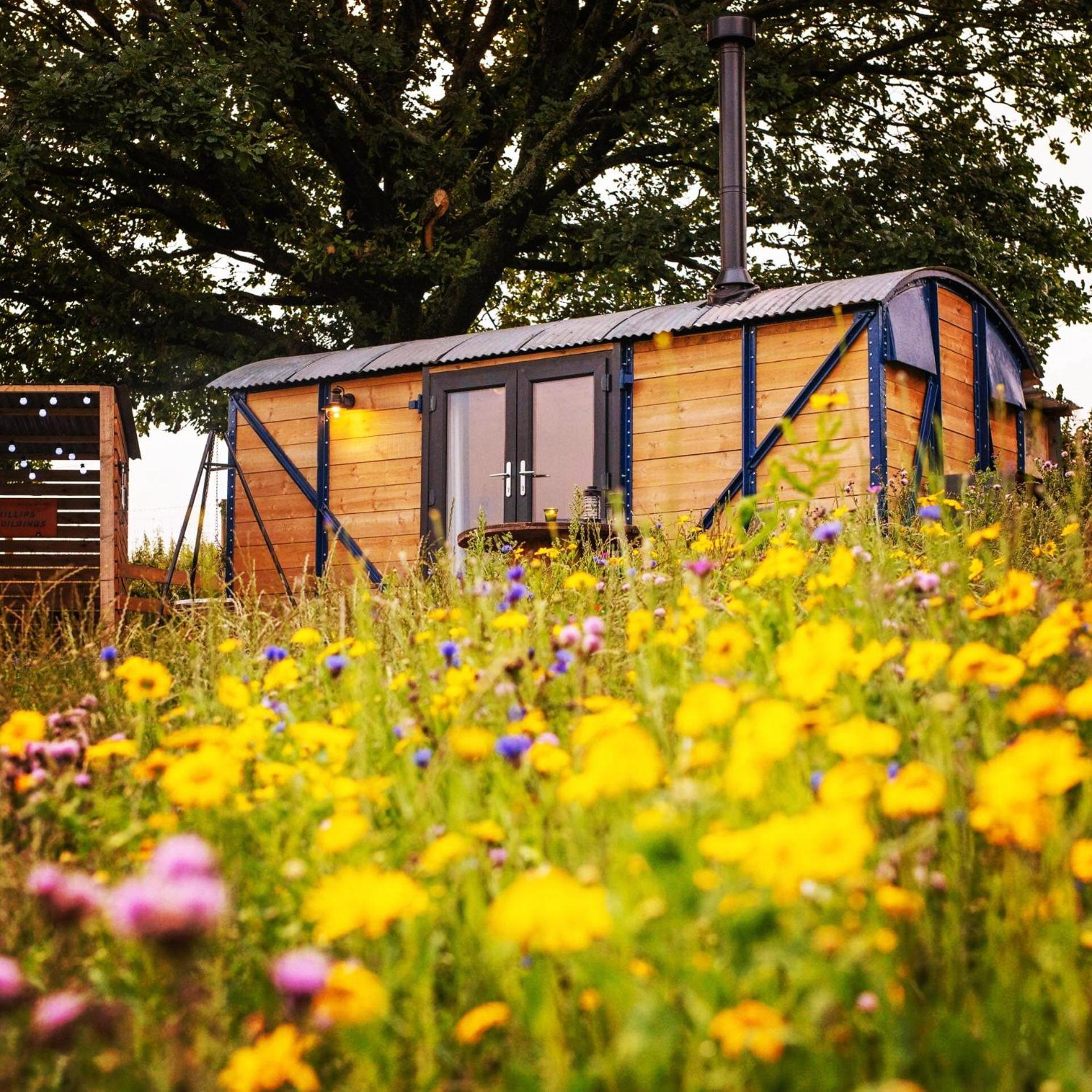 Hotel Under The Oak Glamping Caerphilly Zewnętrze zdjęcie